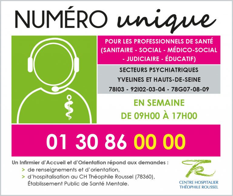 Equipe mobile psychiatrie précarité et Numéro Unique « CH Théophile Roussel
