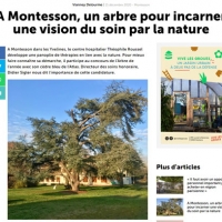 A Montesson, un arbre pour incarner une vision du soin par la nature